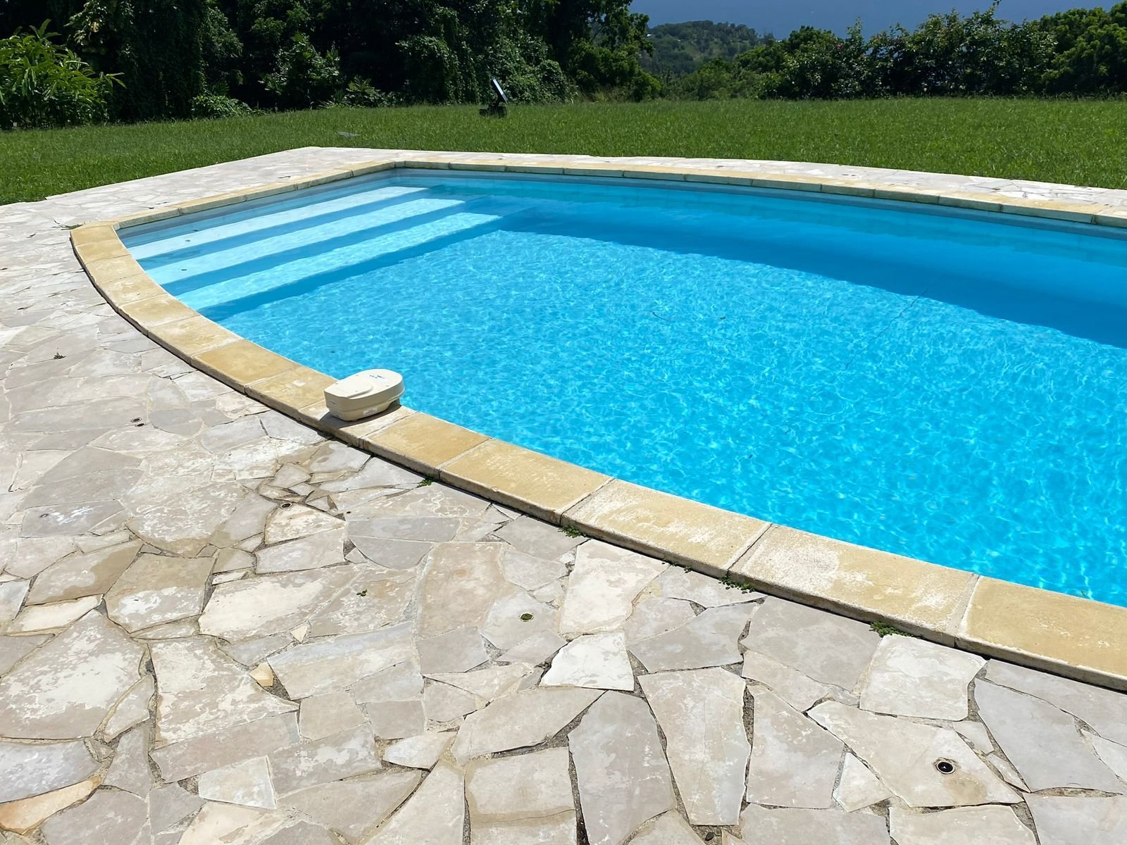 Piscine entretenue en Guadeloupe
